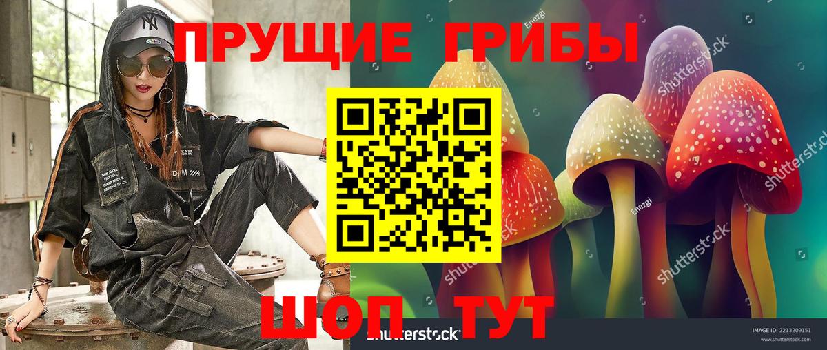 Галлюциногенные грибы GOLDEN TEACHER  Псилоцибиновые грибы GOLDEN TEACHER  Унеча  Вход с VPN 