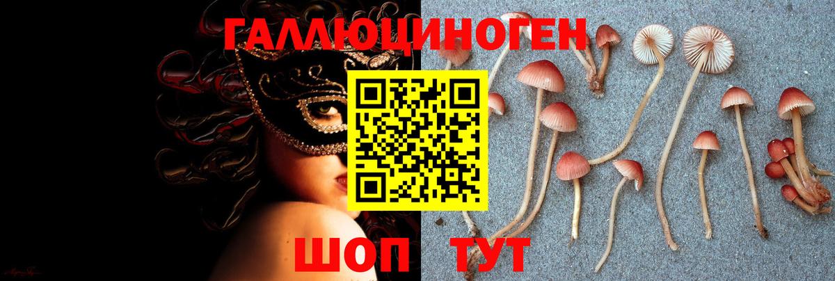 Галлюциногенные грибы Cubensis Унеча